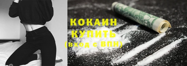 стафф Богданович