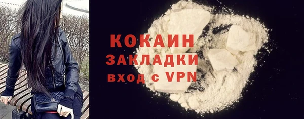 стафф Богданович
