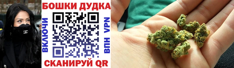 купить   Белогорск  Конопля гибрид 